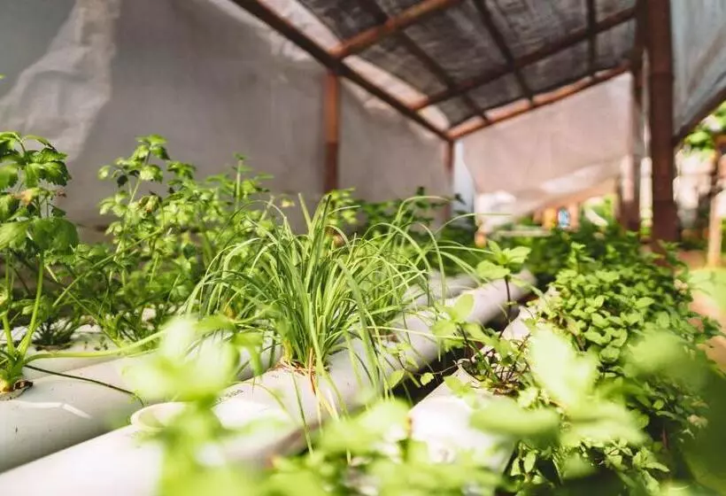 ペンション Bali Bio Villas