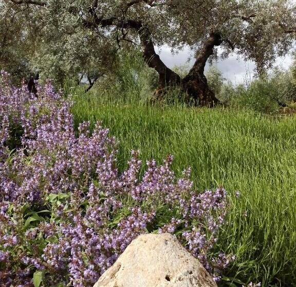 Пансион Hostal Nicol's