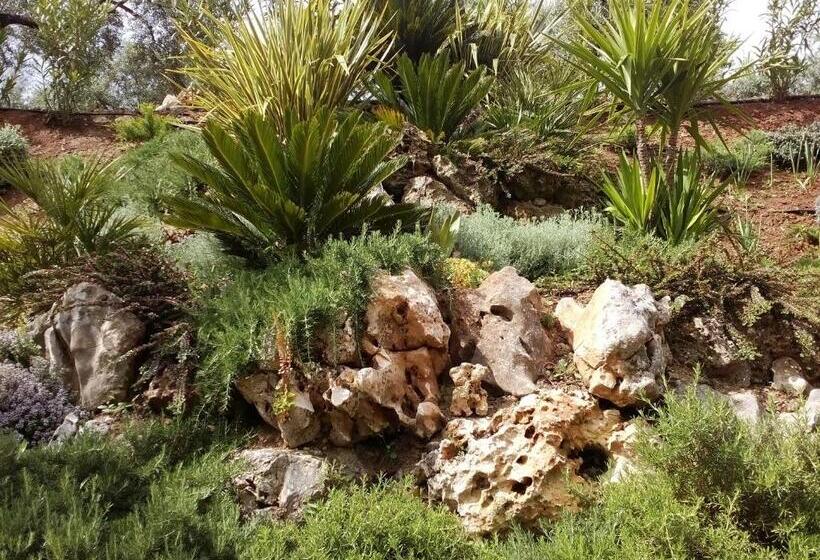 Пансион Hostal Nicol's