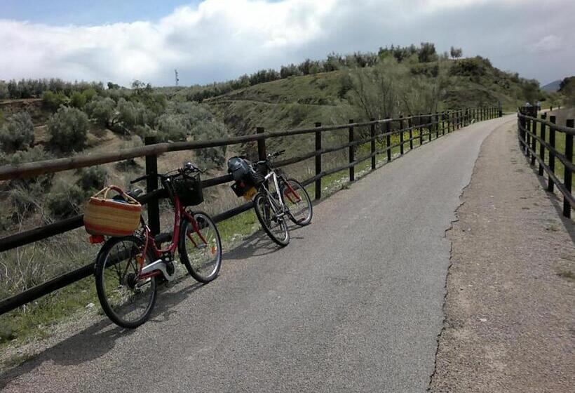 Пансион Hostal Nicol's