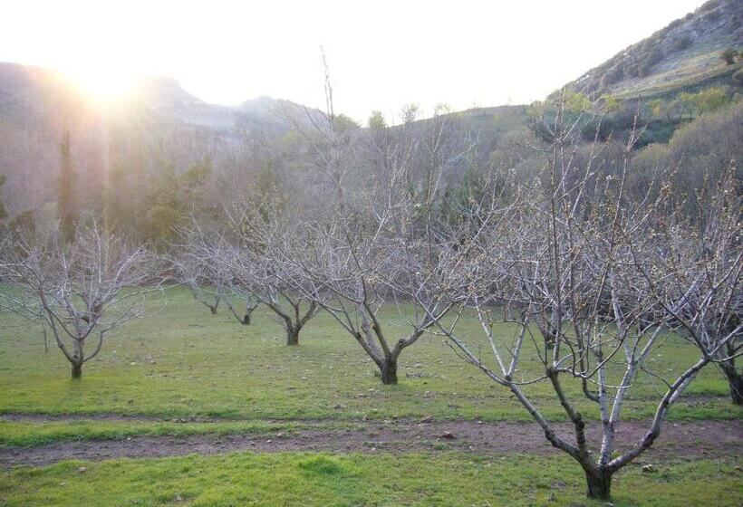 펜션 Hostal Restaurante Sierra De La Martina