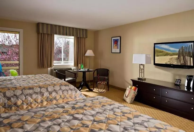 Wellfleet Motel & Lodge