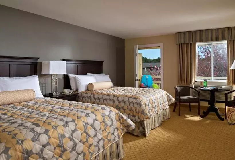 Wellfleet Motel & Lodge