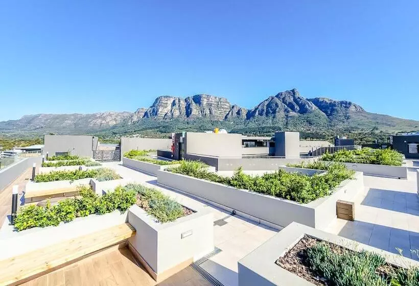 #001 Newlands Peak   Elegance