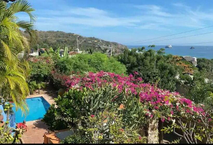 فنادق الكبسولة Casa Azul