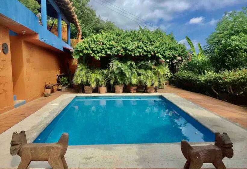 فنادق الكبسولة Casa Azul