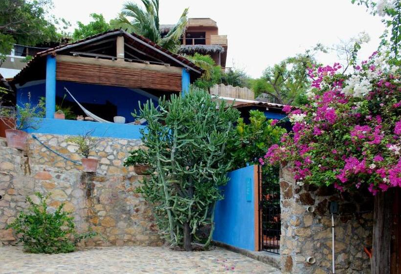 فنادق الكبسولة Casa Azul
