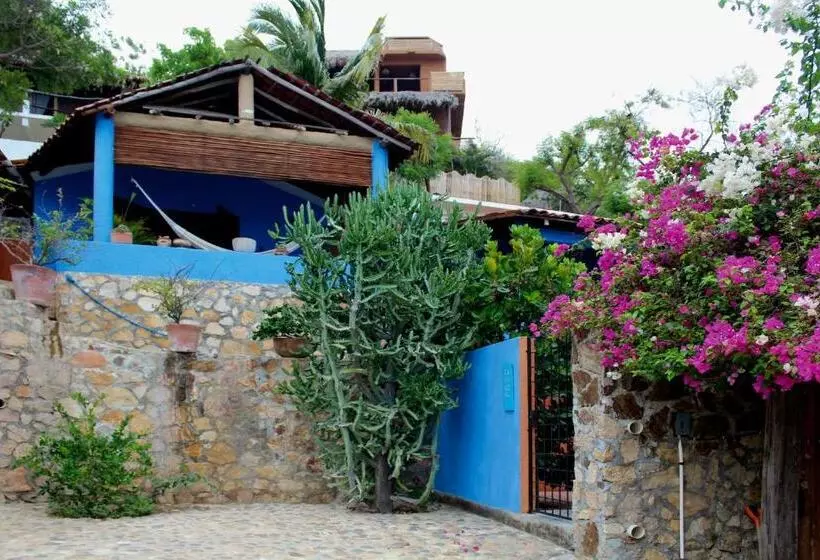 カプセルホテル Casa Azul