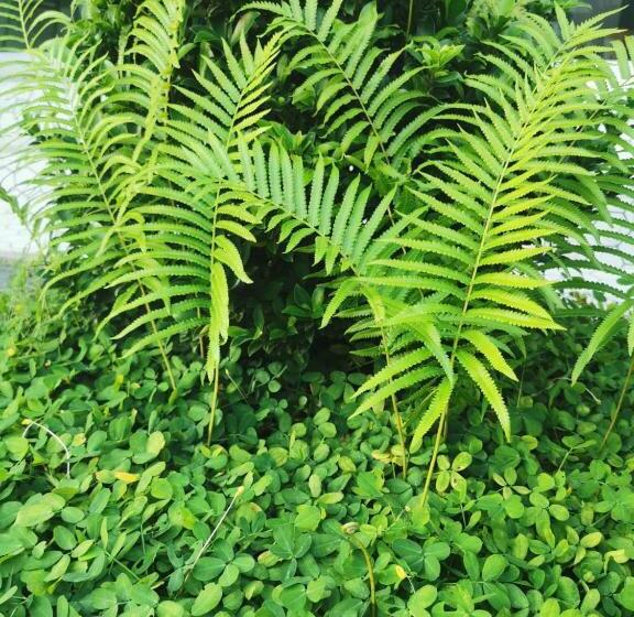 ホテル Nst Boutique เอ็นเอสทีบูทีค