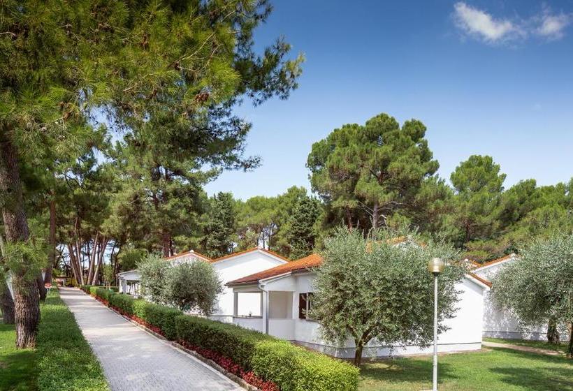 Apartments Galijot Plava Laguna