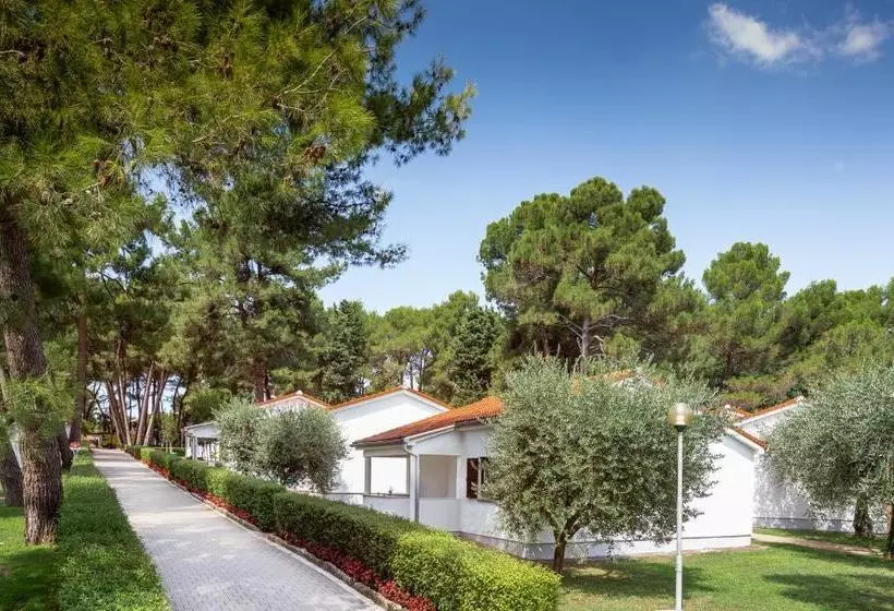 Apartments Galijot Plava Laguna