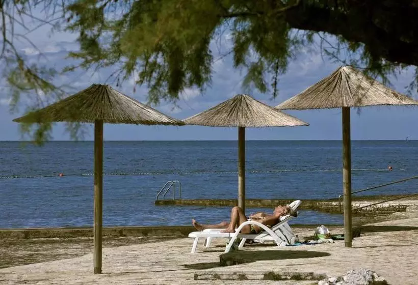 Apartments Galijot Plava Laguna