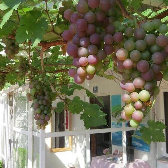 مبيت وإفطار Gästehaus Huber   Traditional Sixties Hostel