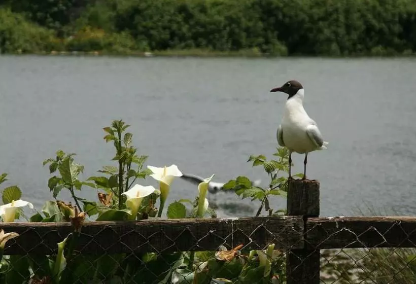 酒店 Boutique Casa Werner