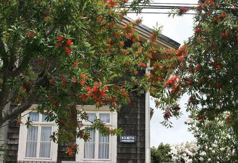 酒店 Boutique Casa Werner