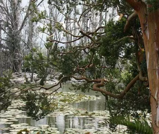 酒店 Boutique Casa Werner