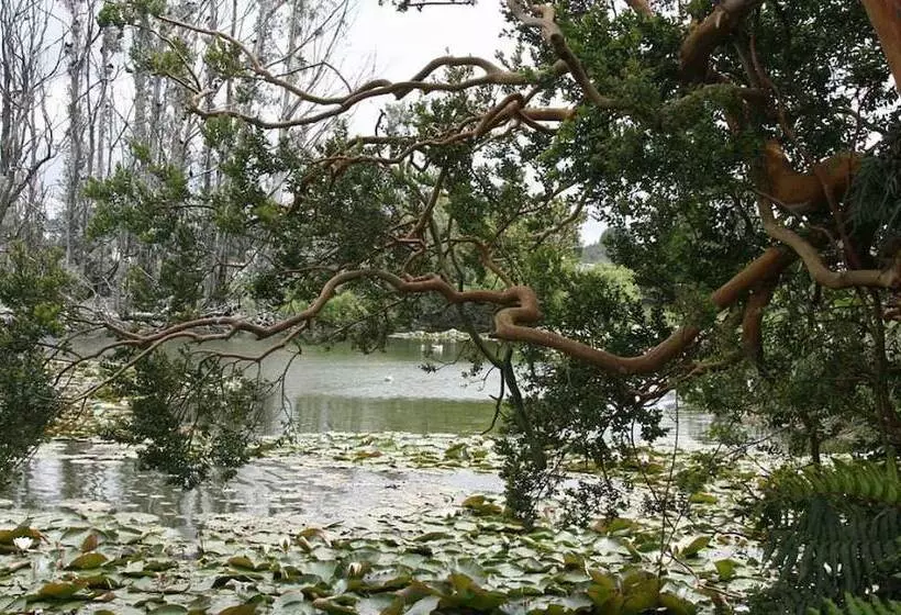 酒店 Boutique Casa Werner