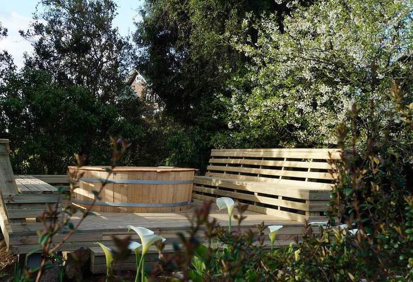 ホテル Boutique Casa Werner