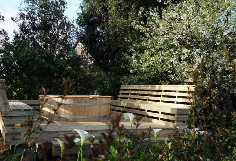 酒店 Boutique Casa Werner