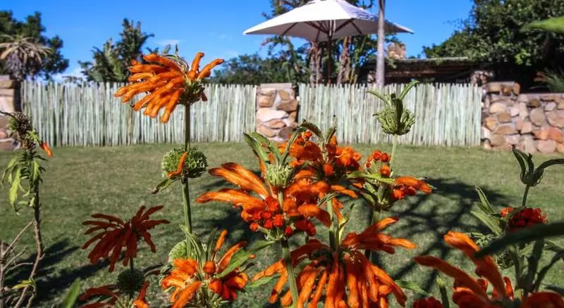 Отель Dune Ridge Country House