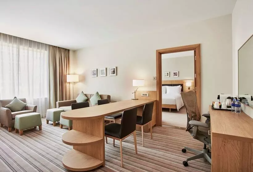 هتل Hilton Garden Inn Dubai, Mall Avenue