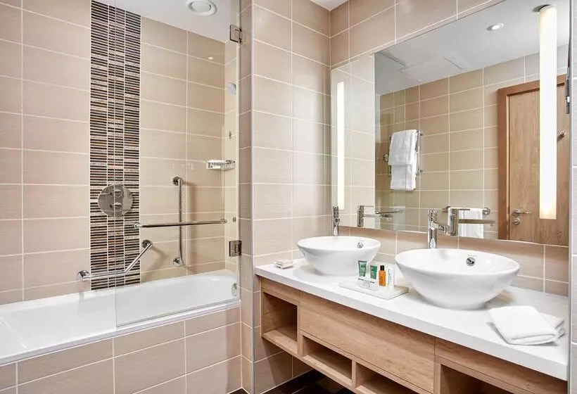 Отель Hilton Garden Inn Dubai, Mall Avenue