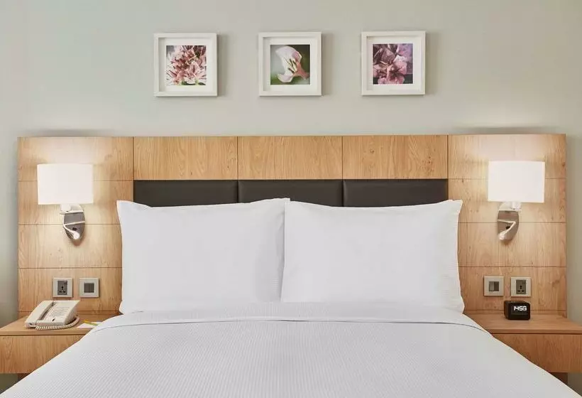 Отель Hilton Garden Inn Dubai, Mall Avenue