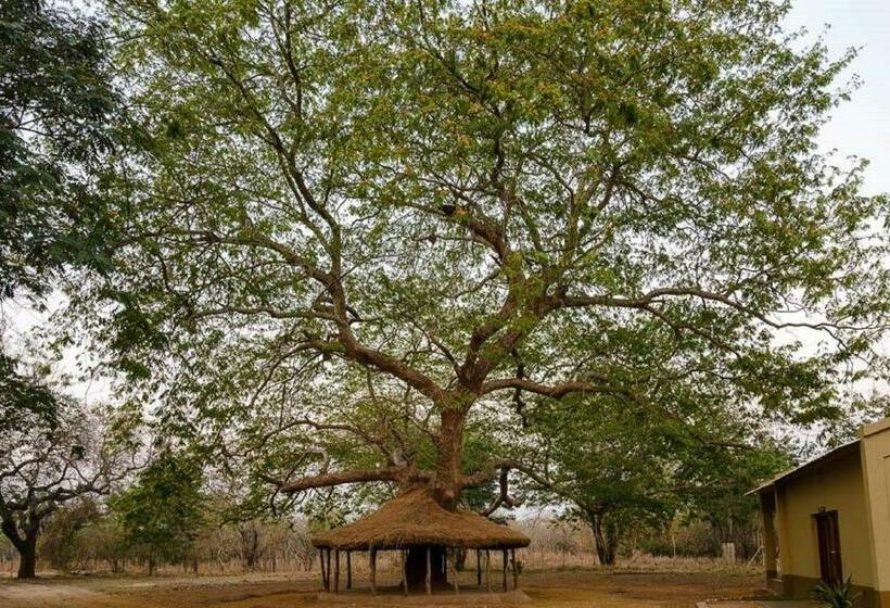 فندق Montebelo Gorongosa Lodge & Safari