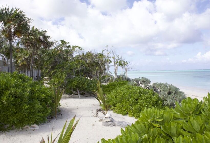 Отель Pelican Beach