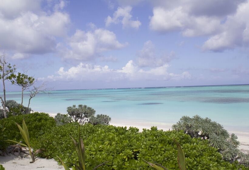 Отель Pelican Beach