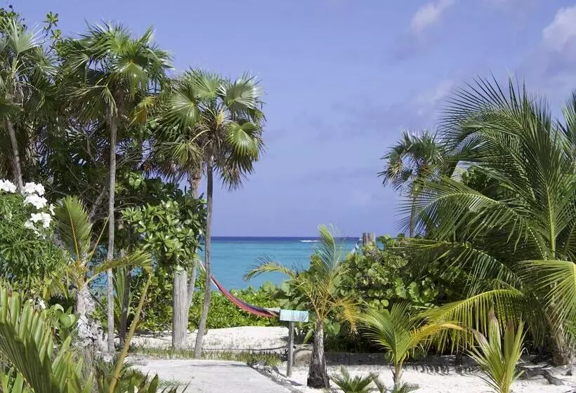 Отель Pelican Beach