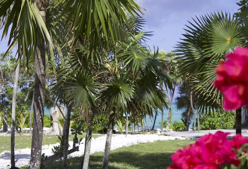 Отель Pelican Beach