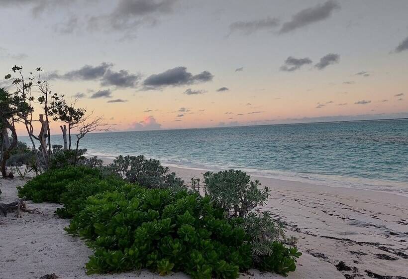 Отель Pelican Beach