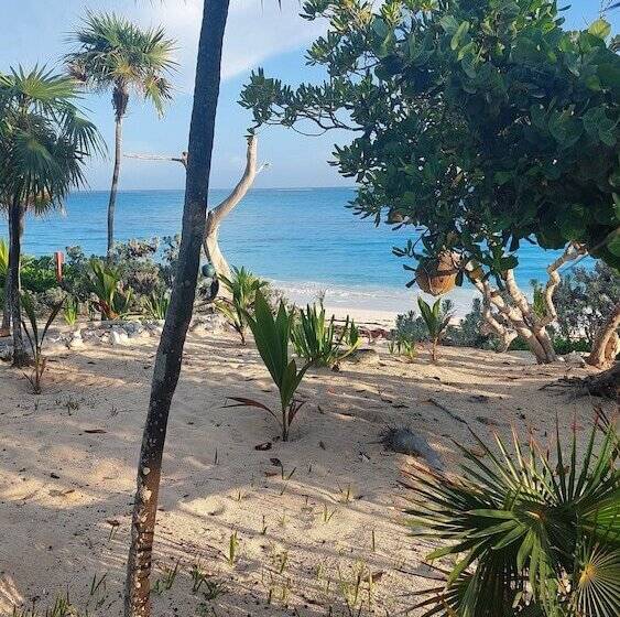 Отель Pelican Beach