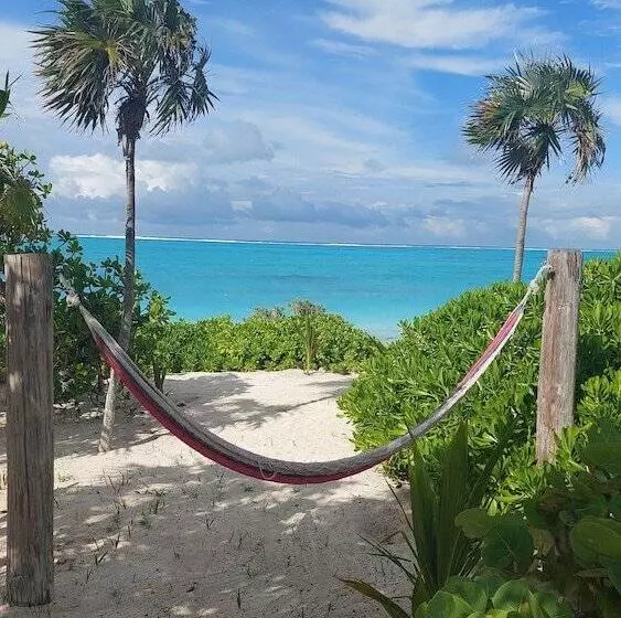 Отель Pelican Beach