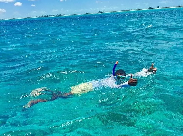 Отель Pelican Beach