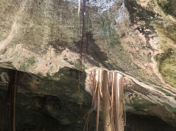 Отель Pelican Beach