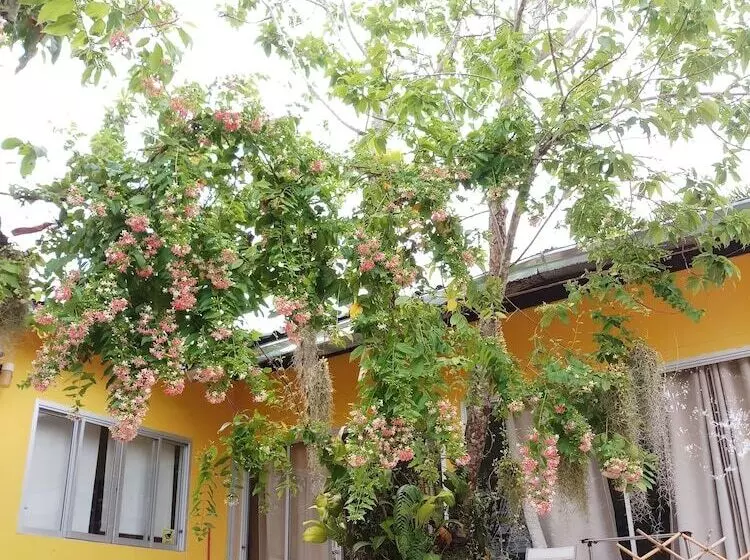 Otel Penny's Home Stay Resort