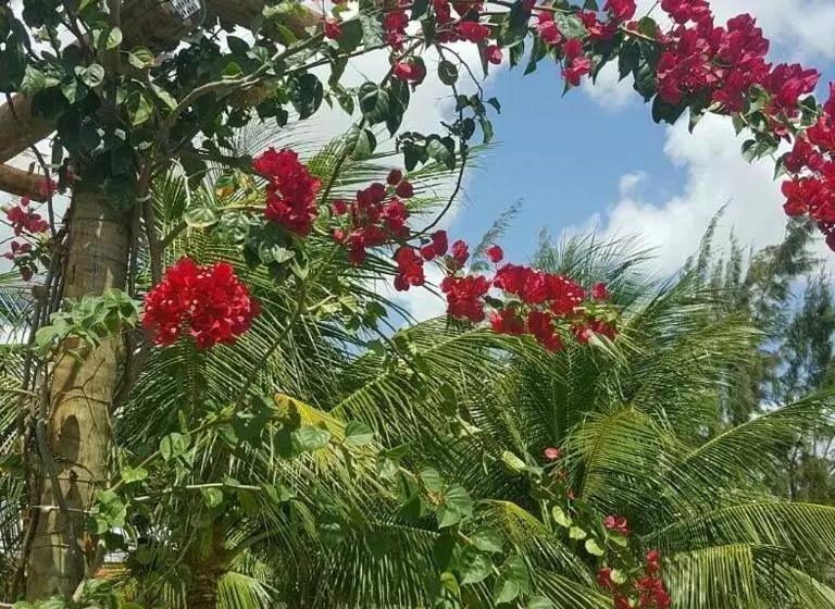 Hotelli Pousada Macamirim