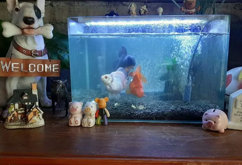 Vanlisut Hotel Ngamwongwan