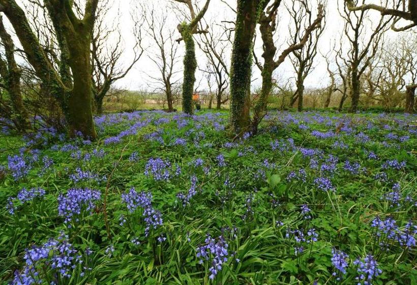 פנסיון An Portán Guest House And Restaurant