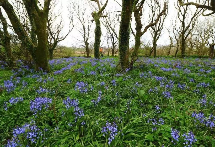 ペンション An Portán Guest House And Restaurant