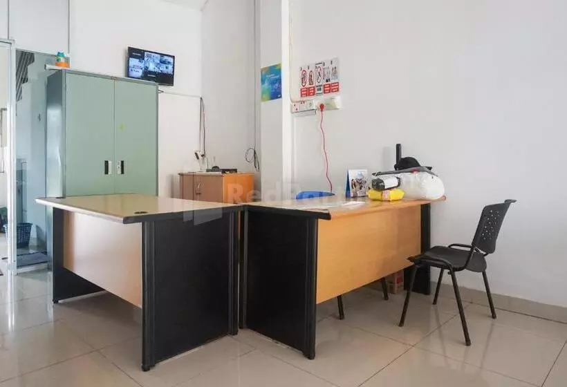 ベッドアンドブレックファースト Sakura Kos Redpartner