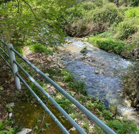 旅馆 Eleana  Bunec