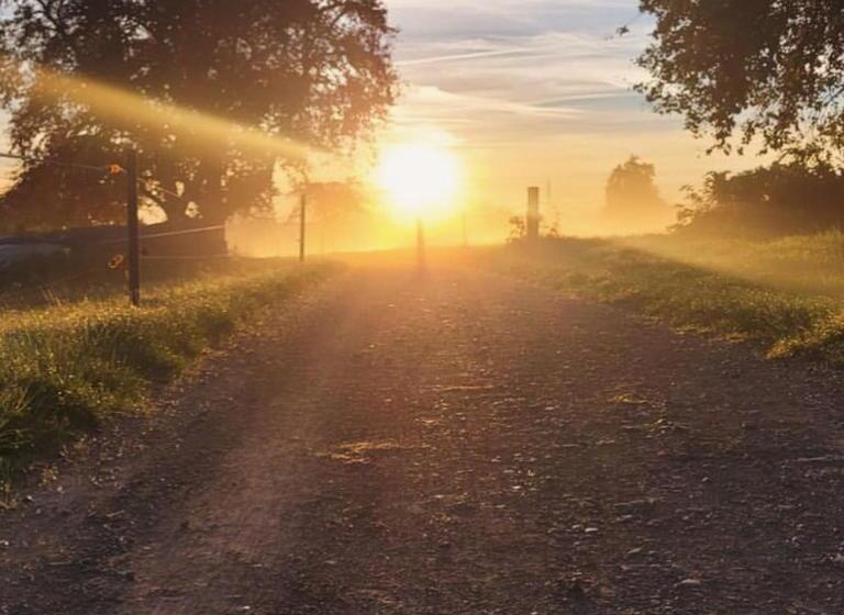 فندق Familienresort Wiesenhof