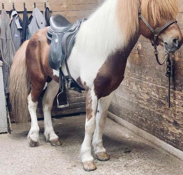 فندق Familienresort Wiesenhof