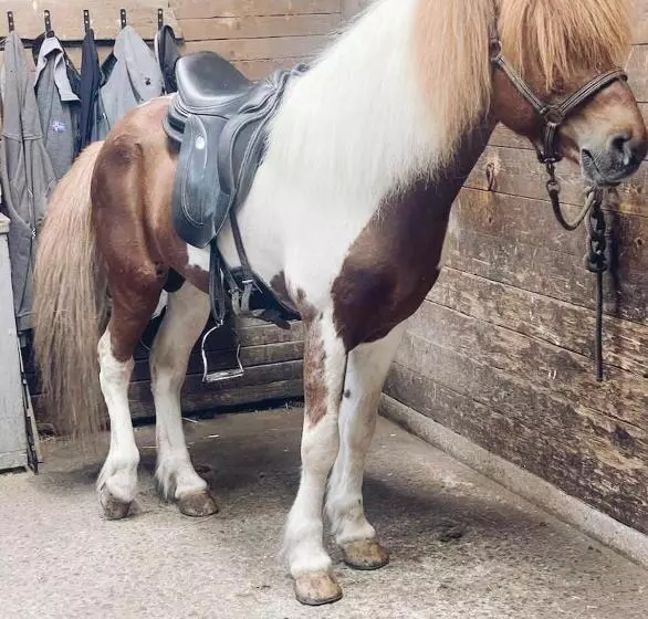 Hotelli Familienresort Wiesenhof