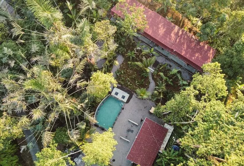 リゾートホテル Daydream Lodge