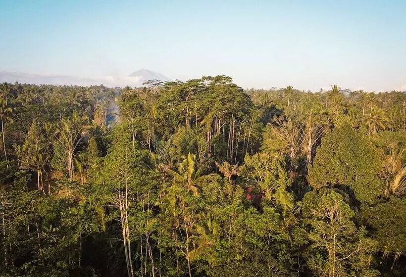 リゾートホテル Daydream Lodge