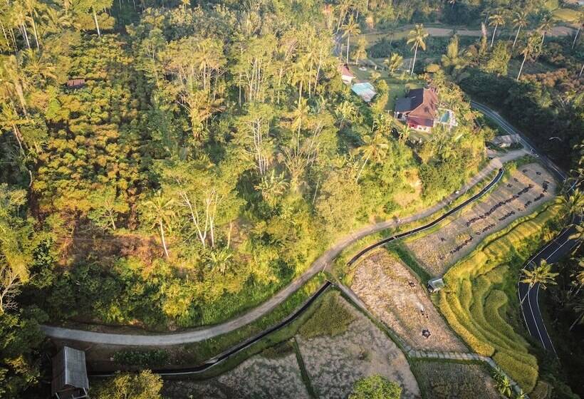 渡假胜地 Daydream Lodge